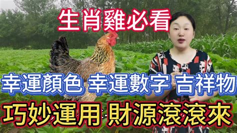 屬雞幸運數字|屬雞的幸運數字是多少